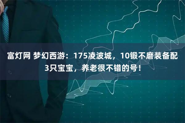 富灯网 梦幻西游：175凌波城，10锻不磨装备配3只宝宝，养老很不错的号！
